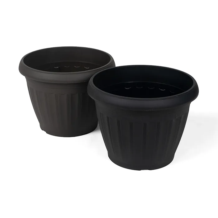 Flower Pot Rose